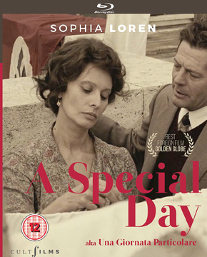 special-day-cover-web